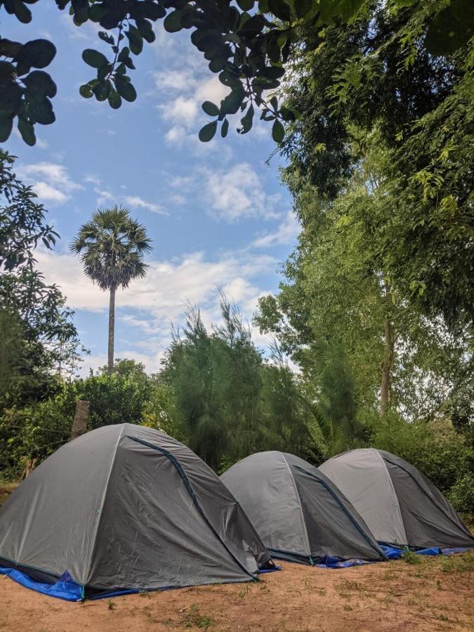 Travellers Tribe By Livelehood Habitat Hostel Auroville Luaran gambar