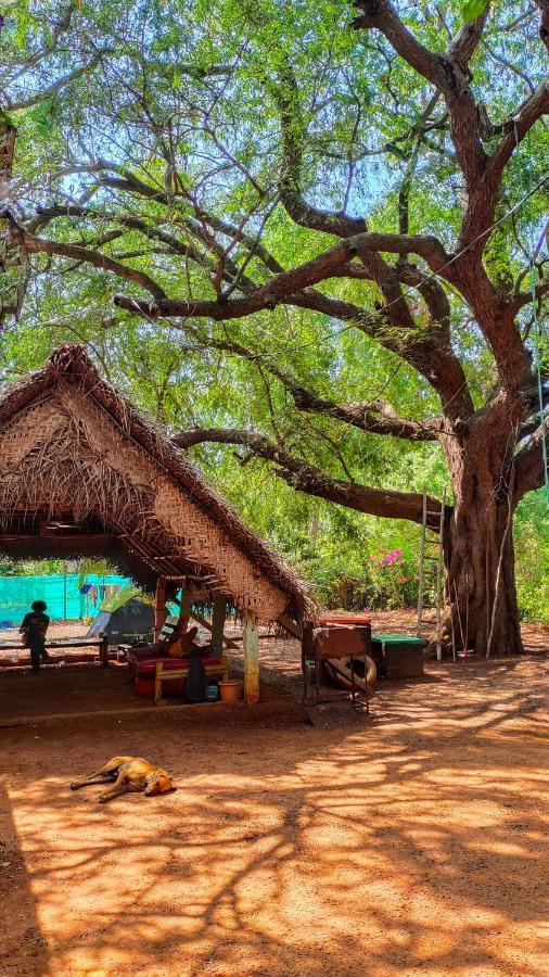Travellers Tribe By Livelehood Habitat Hostel Auroville Luaran gambar